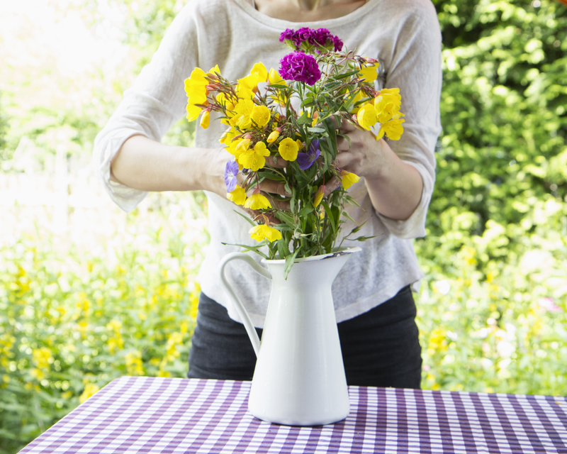 Home-Grown Cut Flowers for Autumn & Winter 