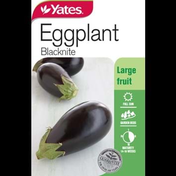 eggplant-blacknite