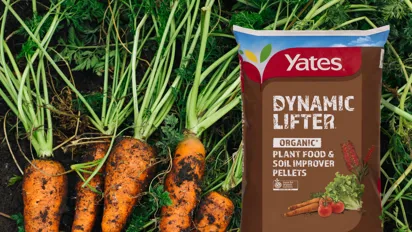 Summer Gardening Is In Full Swing!