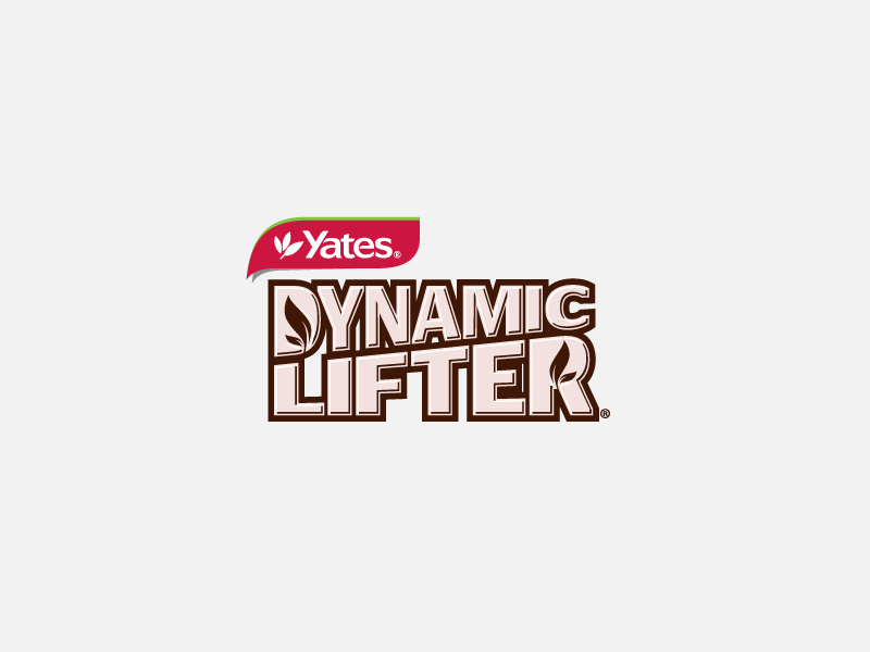 Yates Dynamic Lifter