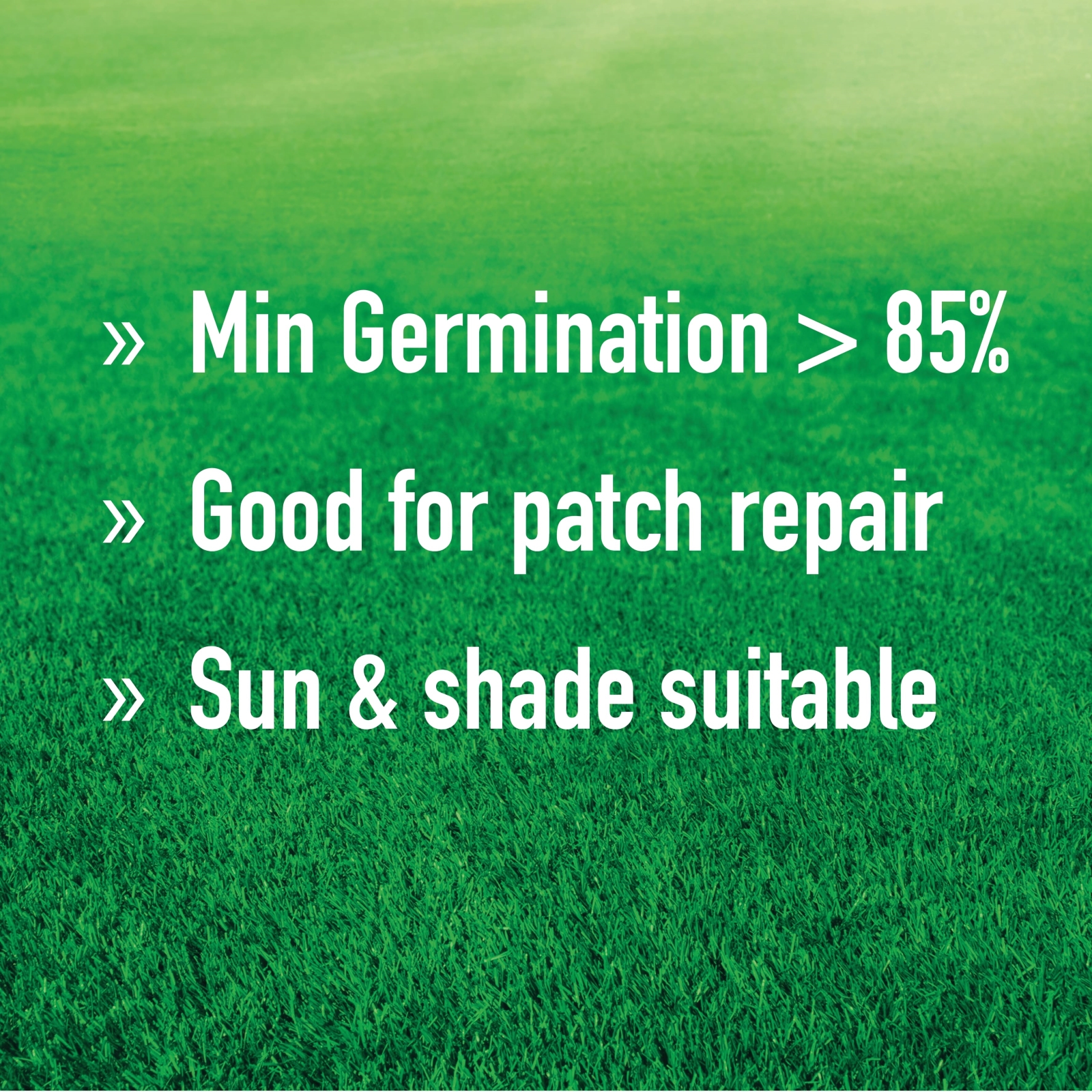 Munns Professional Sun & Shade Lawn Seed