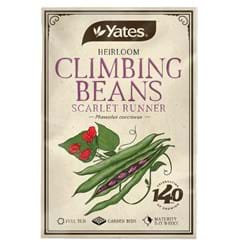 Heirloom Beans Climbing Scarlet Runner