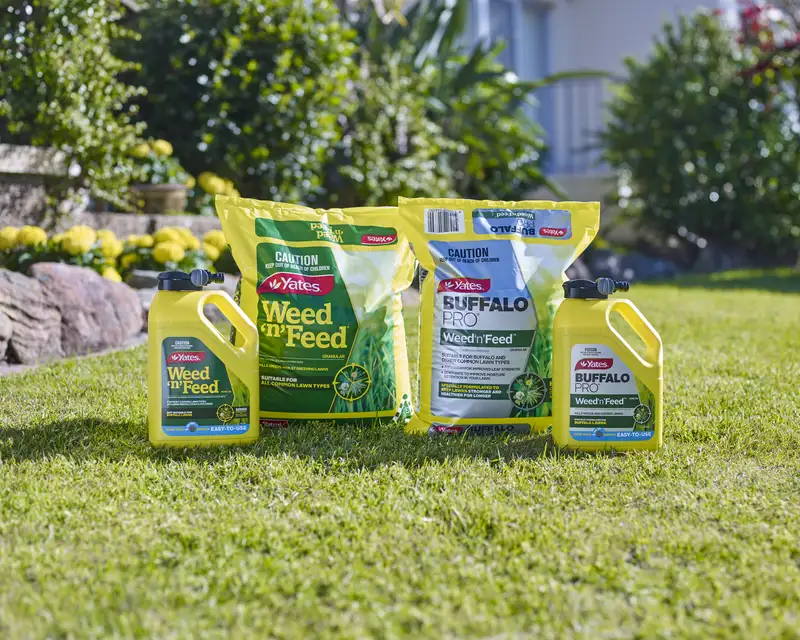 How Long Does Weed And Feed Take to Kill Weeds: Quick Guide