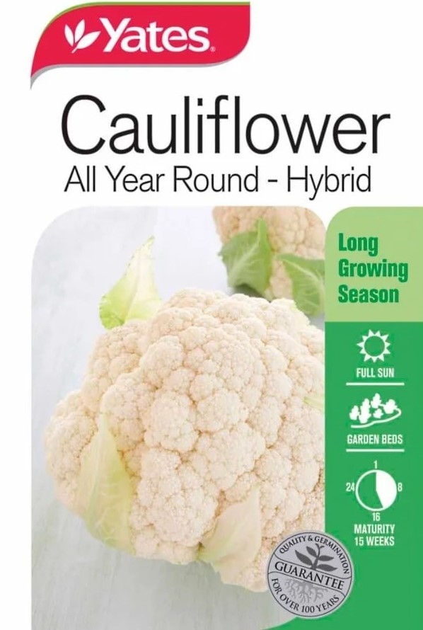 Cauliflower All Year Round Hybrid Garden Seeds Yates Australia