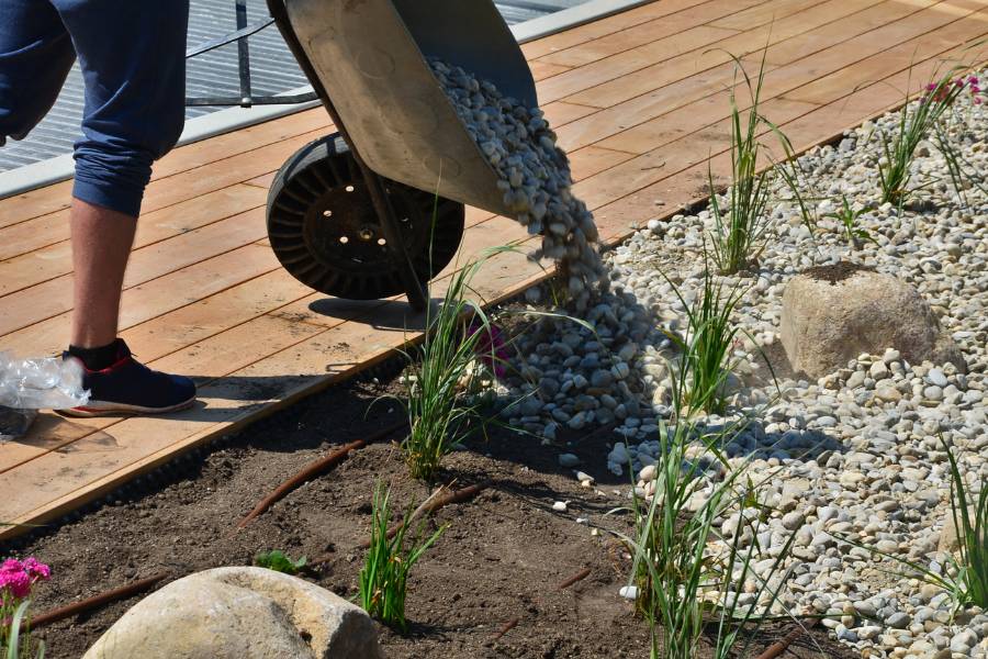 Applying a barrow load of inorganic mulch (pebbles) to a garden bed