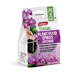 Yates 27g Thrive Plant Food Spikes Orchids - 30 Pack