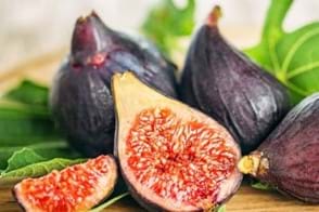 How to Grow Fig