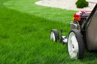 Can You Mow Lawn When It’S Cold: Expert Tips to Keep Grass Healthy