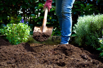 Beginner's Guide to Soil & Soil Improvement | Yates Australia